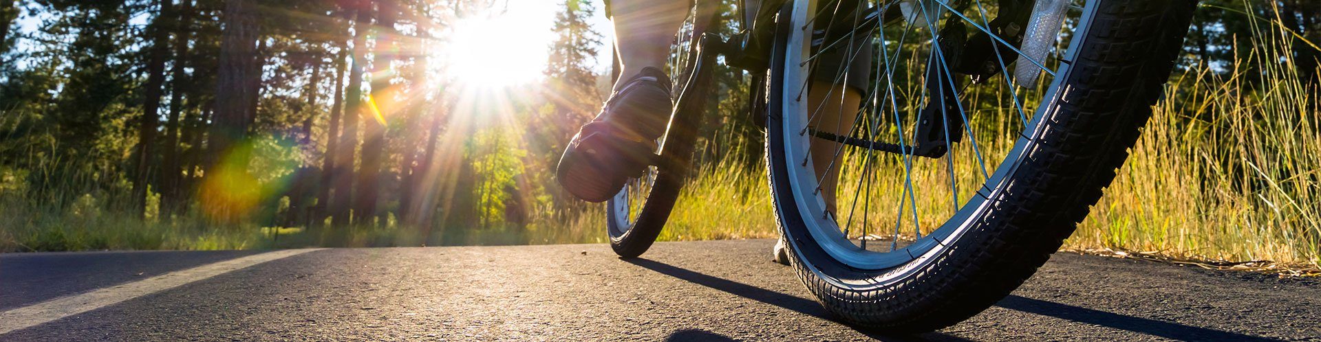 42nd Annual Vineyard Classic Bike Tour