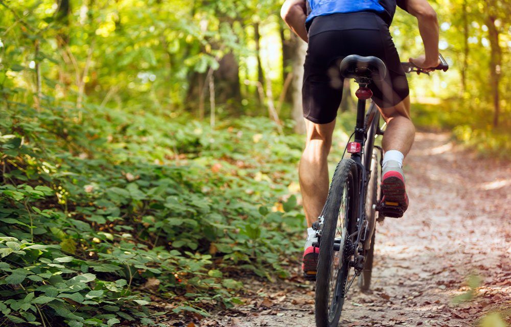 42nd Annual Vineyard Classic Bike Tour