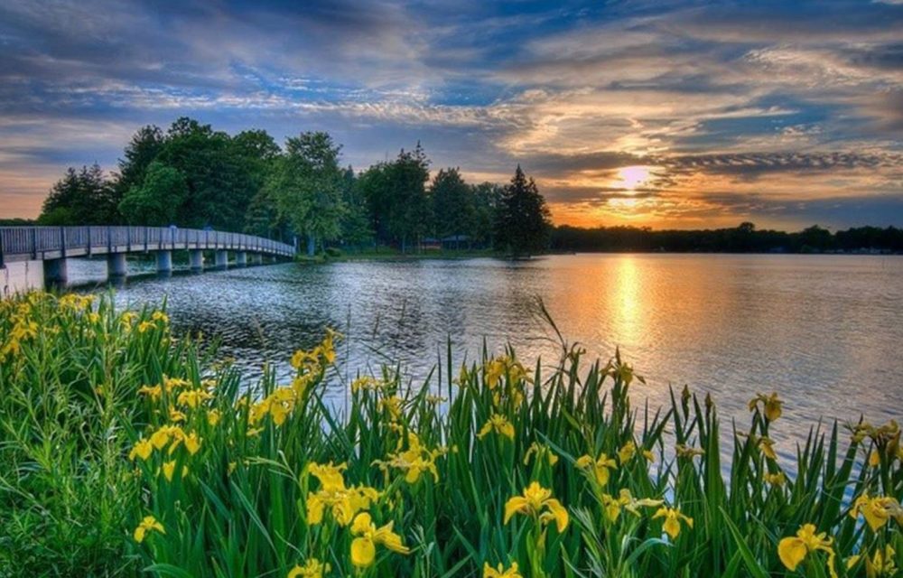 Maple Lake
