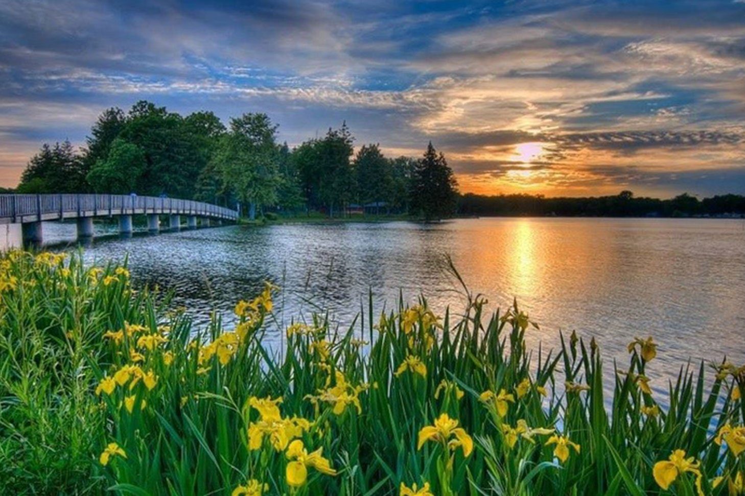 Maple Lake