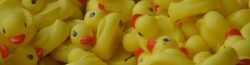 Lion's Duck Race