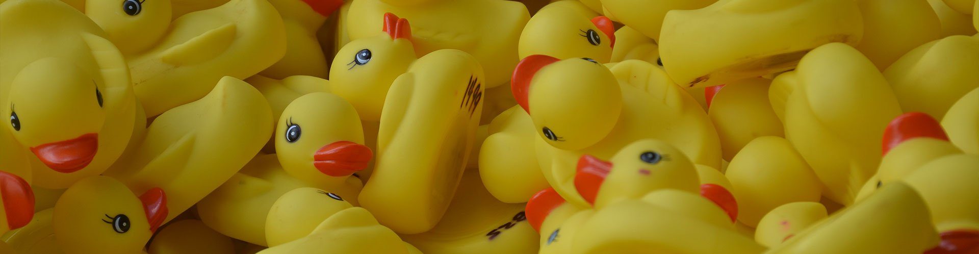 Lion's Duck Race