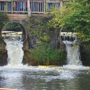 Duck Race