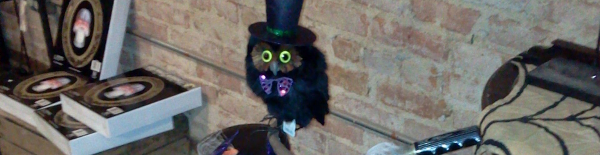 The Halloween Grotto